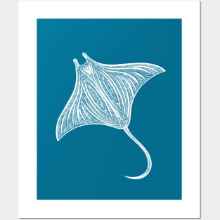Manta Ray detailed drawing for sea animal lovers Posters and Art